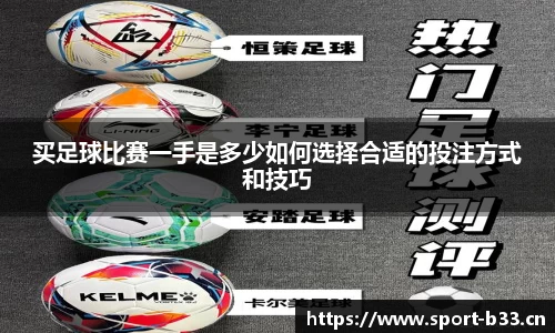 b33体育平台