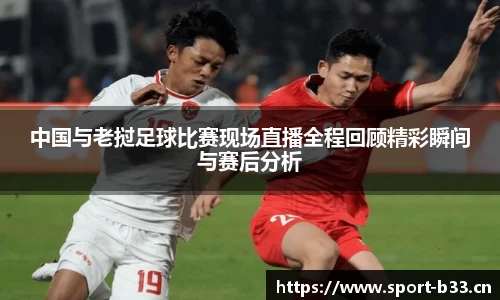b33体育官网