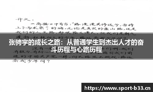 b33体育