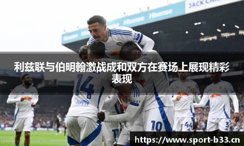 b33体育官网